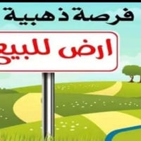 زيونه بغداد • قطعة أرض • ١١٧م