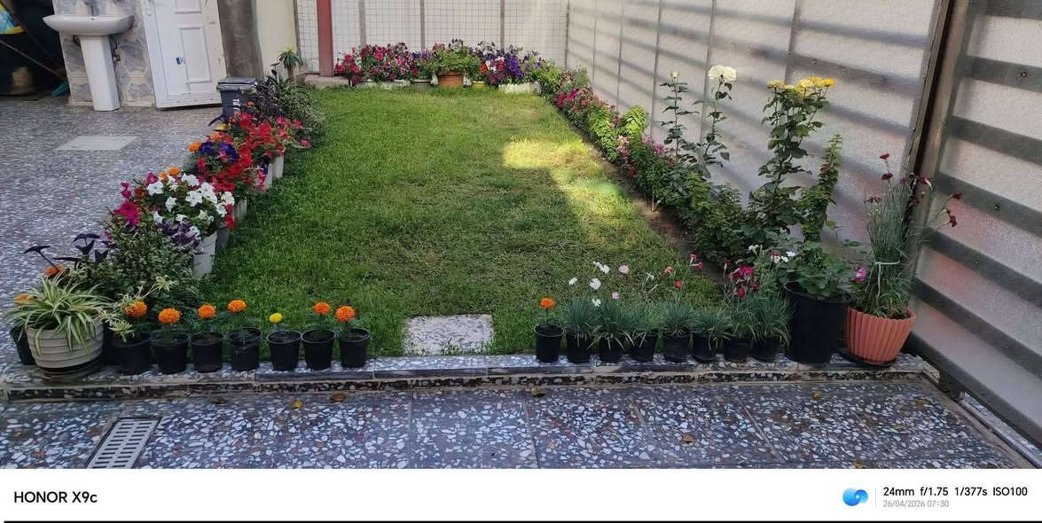 لعمل كافه ديكورات وزراعه الحدائق المنزليه 🌳
وتنظيف وادامه الحدائق 🌳
يوجد اسمده ومنشطات ومبيدات 🌳
وتساب ***********
***********
