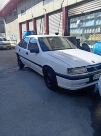 فيكترا • ١٩٩١ • أربيل