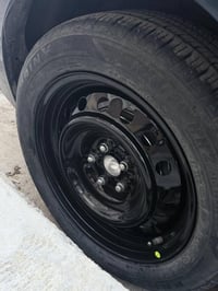 ويل ١٦ • بلادي • مراوس كورلا