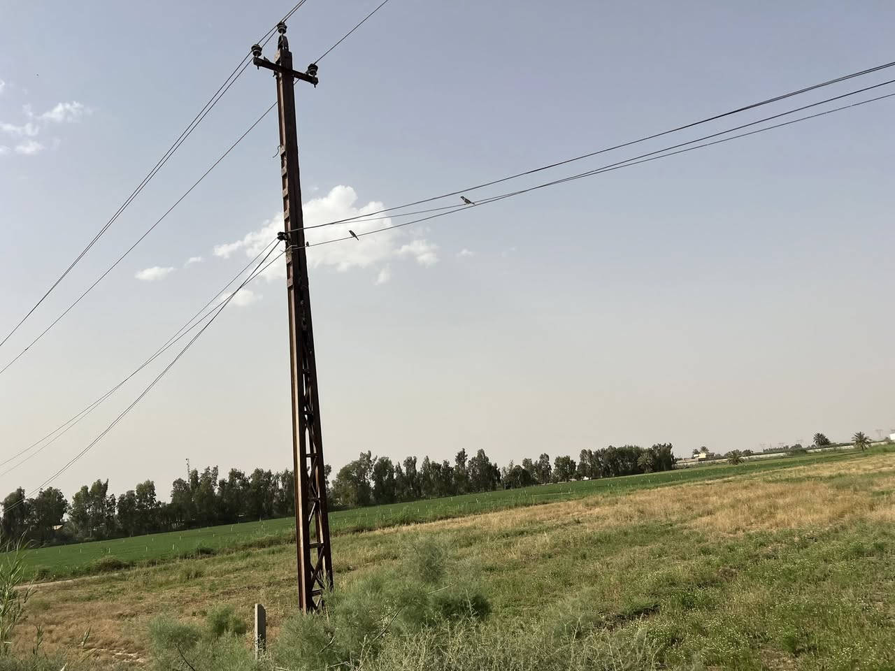 قطعة أرض للبيع عقد 35مساحه 10  دونم واجه 100 ونزال 250 خدمات كامله كهرباء وماء حلو  مكان بغداد تقاطع النهروان شارع السياحي  ***********

