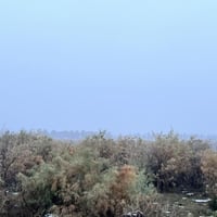 الدجيل • أرض زراعية • طابو سند 25