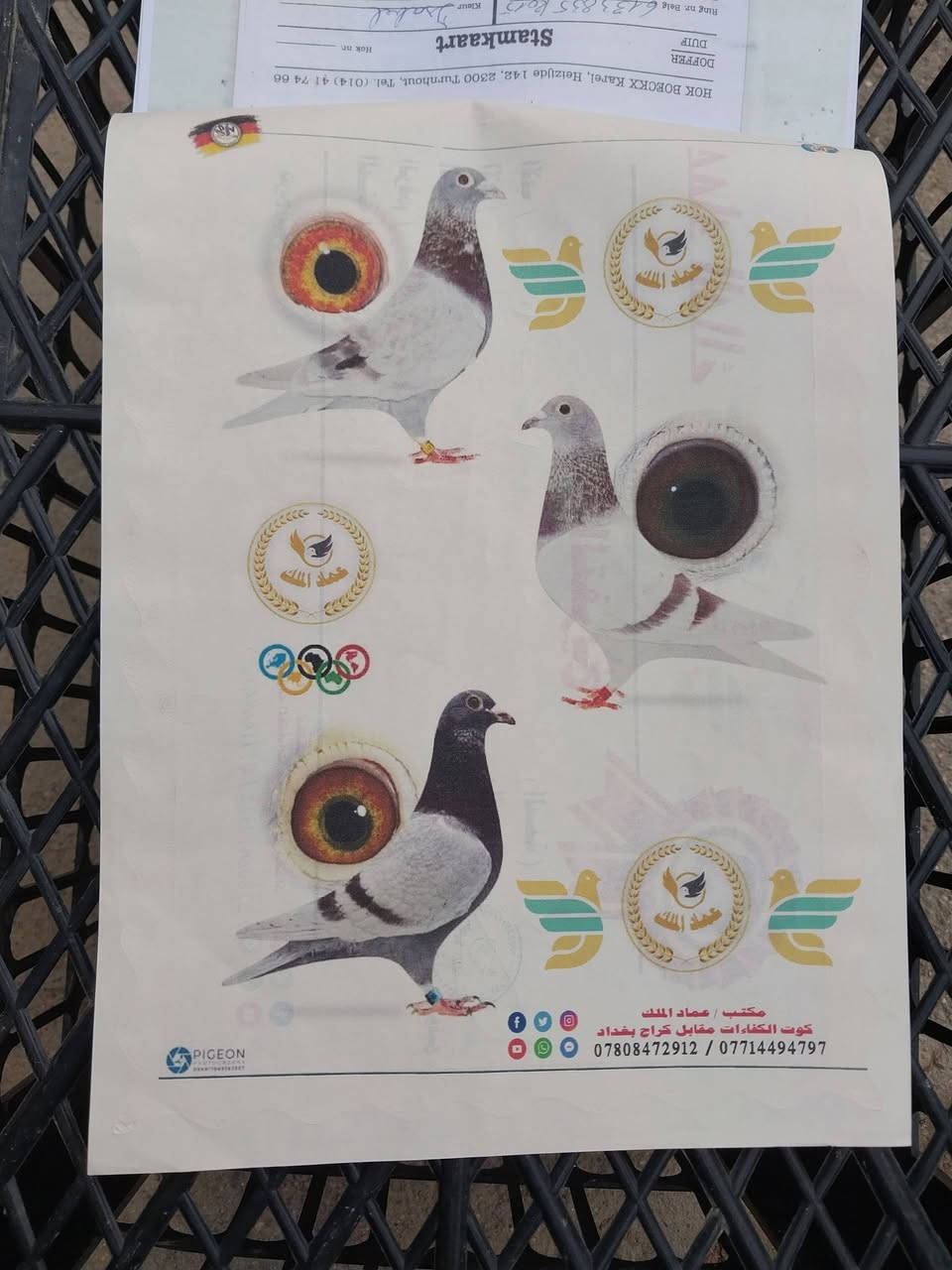 متاح فحل تبزير اخ المنتج عماد الملك ابو كوت. من سلالت كارن بوكس. مكاني ميسان


**إذا كنت صاحب هذا الإعلان وتريد حذفه لأي سبب، رجاءا أرسل رسالة إلى الدعم الفني**