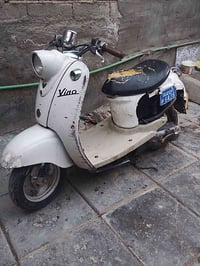 فينو • مصريه • شغاله