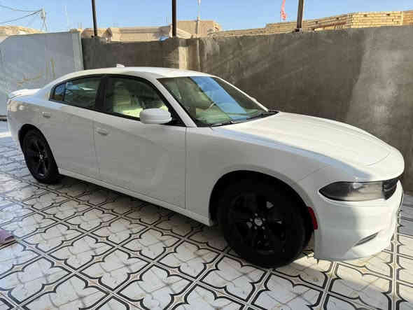 للبيع السعر 175 اتصل *********** معلايه 16)(22  المكان الجبايش ذي قار
