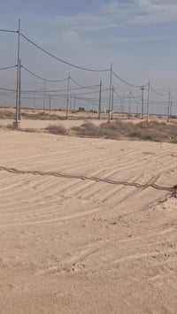 النجف • ٣١٢م • طابو مباشر