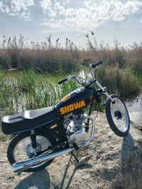 سيجي • نامه • ناشفه