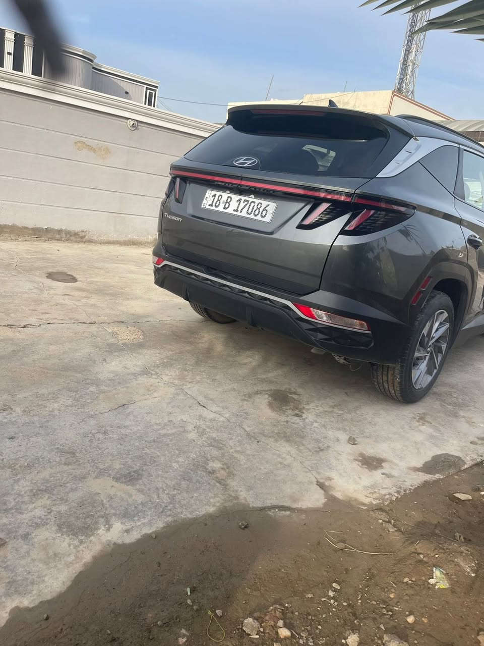 توكيان 2023 للبيع 195 ورقه للستفسار التصال على الرقم ***********
