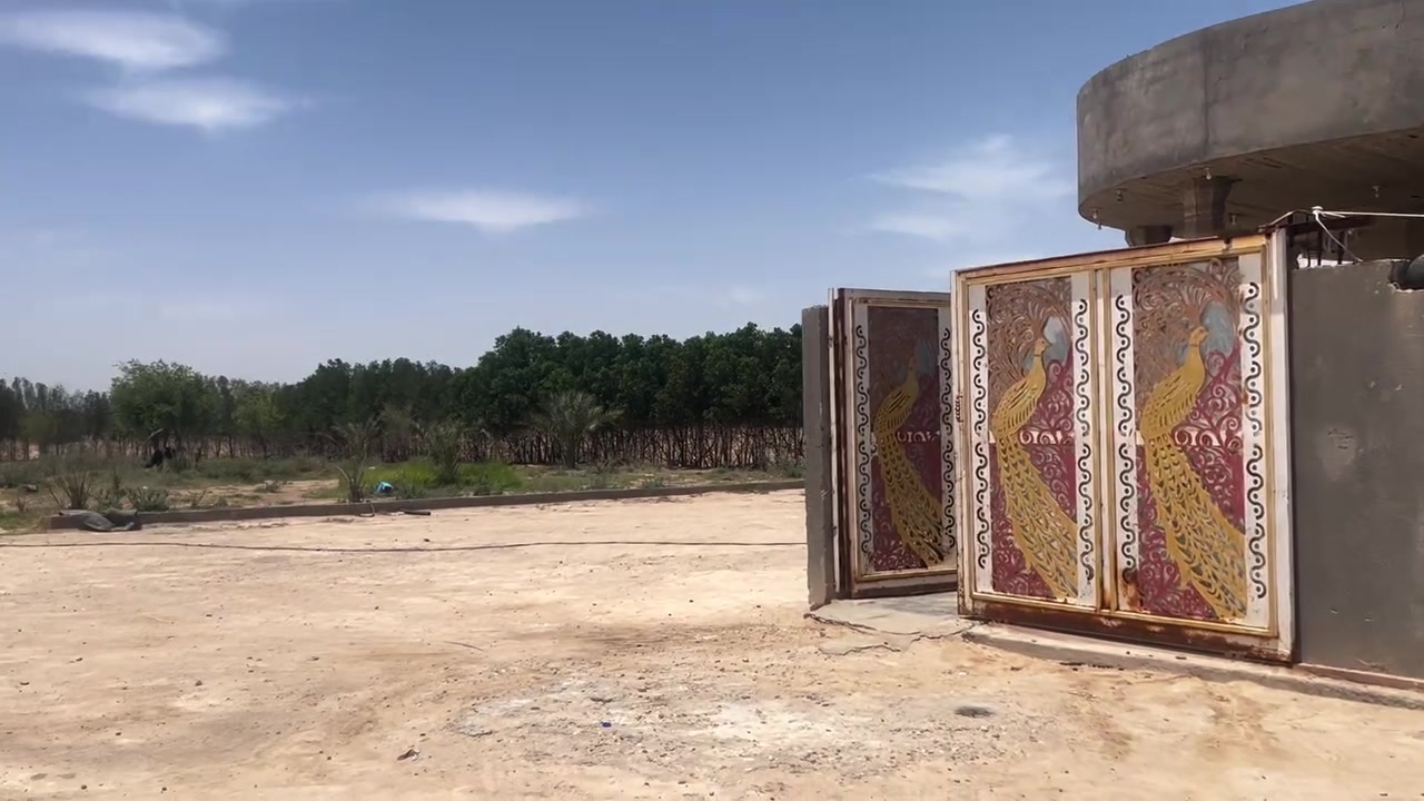 لسلام عليكم..
لعشاق المساحات الكبيرة والبناء الدرجة أولى، بيت للبيع مع دونم أرض (المساحة خارج مساحة البيت) في موقع مميز وهادئ.
📌 الموقع: البصرة - خور الزبير - قرب مخيم الحسن.
📜 السند: زراعي (عقد مجدد جاهز).
📐 مواصفات البيت:
• المساحة: 400 متر مربع.
• البناء: شغل درجة أولى (مسلح بالكامل، جسور، شرط نده ما يندي). ملاحظة: السطح غير مزفت وغير مشتكر.
🧱 التقسيم الداخلي:
• 3 غرف نوم + صالة + استقبال.
• ديوان كبير بطول 14 متر (غير كامل الهيكل).
💧 الخدمات والماء والكهرباء:
• الماء: إسالة شغال 24 ساعة بدون انقطاع (مجرور بايب أبو 4 إنج، وصونده من أبو 400، الماي يصب صب).
• الكهرباء: فول مستقرة وبدون مشاكل (شرط).
• الأمان: منظومة كاميرات مراقبة متكاملة (سيستم 6 كاميرات).
📞 للاستفسار والسعر والتواصل مع المالك مباشرة:
[***********]
