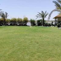 تنسيق حدائق.. لمسة فنية تضفي حياة للمكان."الاتصالات 07805844736