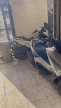 سلام عليكم شباب nmax للبيع زيرو بحاله لوكاله ماشيه 24 ألف زيرو ياباني دراجة ستان حساس وبيها هواي موصفات سويجين بيها صارلها شهر من نازله منل رمبه سعر 14 وبيها مجال قليل/ مكاني بغداد/مدينه الصدر 
رقمي ***********
