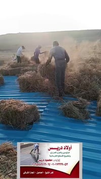 كفر الشيخ • عزل حراري • بيتومين