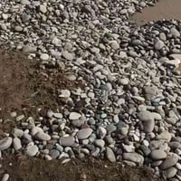 للبيع حصو السعر250حمل فول واصل نتصل07873926762