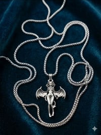 كلادة • مجموعة/مفرد • الوحدة ٢