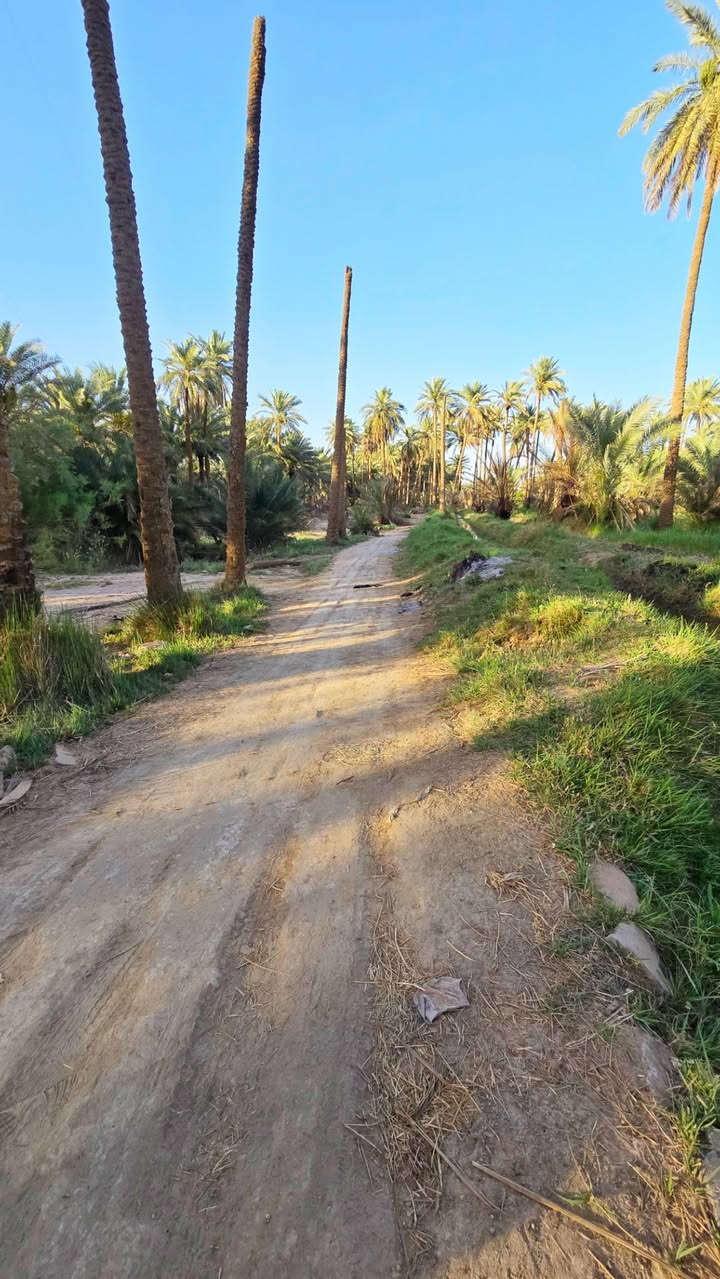 🪷بـستان للبيع مساحه (١٩٠٠ )متر طابو زراعي سند ٢٥ قرار وتنازل بالمحكمه سند مفروز وحده بأسم شخص واحد
🪷بـستان للبيع مساحه (١٩٠٠ )متر طابو زراعي سند ٢٥ قرار وتنازل بالمحكمه سند مفروز وحده بأسم شخص واحد 
قريب جدا للشارع مسافه ٥٠ متر عن الشارع و١٠٠ متر عن الشط
متوفر جميع للخدمات قرب شط الكوفه  مقابل الكورنيش 
العنوان : النجف الاشرف . قضاء الكوفه ، قرب البو ماضي 
عقار ١٨ مقاطعه ١٩ سند ٢٥ 
✋ السعر  225 مليون  ***********
