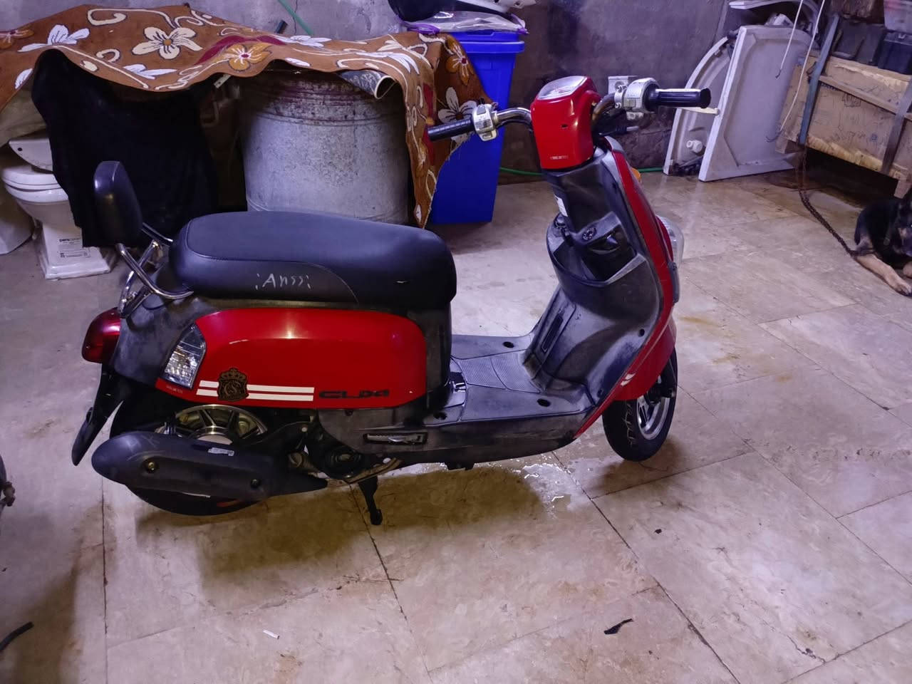 بوليسي للبيع ب 900 وبيها مجال 
***********
