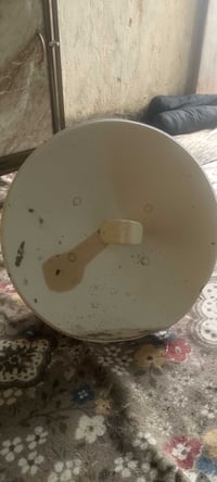 شغاله • حي التضحيه