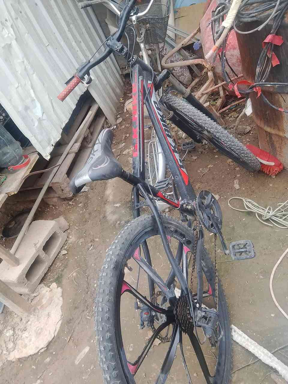 السلام عليكم 
بايسكلات 3
كلهن شلع 
50بيه مجال
للاتصال ***********
