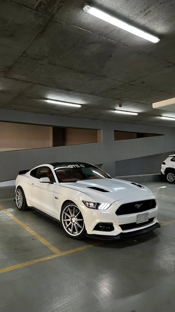 للبيع فقط السعر 108 ورقه 
موستانك GT موديل 2015 رقم بغداد تحويل مباشر 
للاتصال *********** و
محرك 8 سلندر 5000 كير اوتو محرك وكير نظاف 
التبريد شغال 
عليها اضافات .ماشيه 84 الف مايل
بصمه.  شاشه صغيره كاميرا  . تشغيل عن بعد 
كير شفتات بالاستيرن 
تخم تاير جديد صدر نظيف 
وارد امريكي بيها صبغ مكانات 
المكان بغداد الزعفرانية
