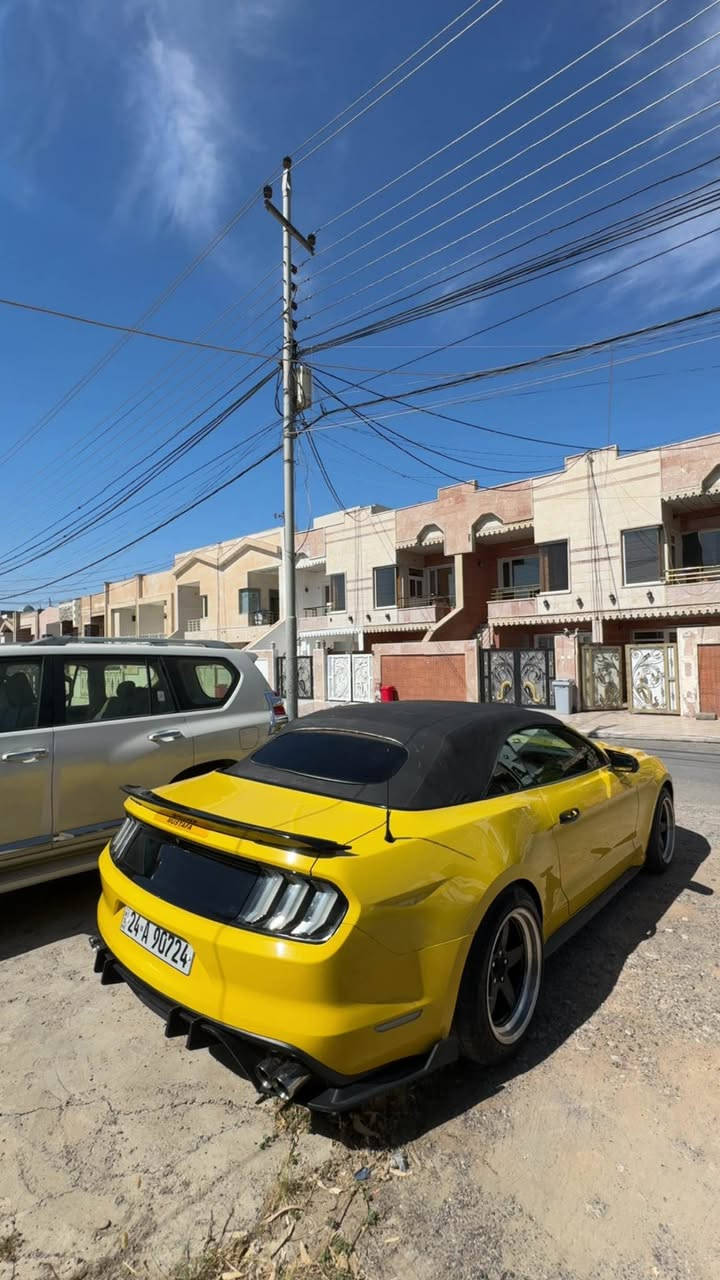 mustang V6
٦ پستن موديل ٢٠١٥ 
٢ پارچه ي بوياغه
سياره كه كراوه به فول مواسه فات 
شاشه synce 3 - گێچ الوان - بەسمە -شەغال- ٤ مۆدی لێخورین - سوکان ٣ مۆد - کوشن کارەبا- بەگلایت کلێر-X pipe- داخلی کامل کراوە بە کاربۆن فایبەر - دفیوزەر و زۆر بابەتی تر  
سیارەکە کامل سێرڤز کراوە هه تا به ردو صالنصه كانيشي بيلاديه بەناوی خۆمە و رەقەم و سەنەوی تازەیە 500$ غەرامەی لەسەرە دوای معامەلە دەی گەرێنمەوە گێر و مەکینە و ئەکسل و کارەبای بەشەرت 
***********

٦سلندر ٢٠١٥
٢ قطع صبغ 
فول مواسفات 
شاشه كبيره synce3-كيج تغير لون- بصمه-تشغيل عن بعد-٤ مود قيادة-ستيرن٣مود-كشن كهرباي-بكلايتات كلير اصلي- دواخل كاربون فايبر- X pipe- 
ماشاءالله سياره حيل نضيف و حتا سرفز كامل من بلاكات و نوزل دهن كير و اكسل ومحرك كل جديد حتا حجر اكزوز بلادي 
سياره بااسمي تحويل ثاني يوم او عليها ٥٠٠$ غرامه
مكان سياره اربيل 
*********** أربيل, العراق
