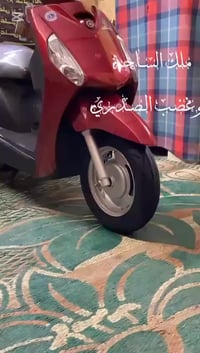 للبيع ماكس منغولي حديث كفاله عامه حتى من الزلغ الدراجه رمبه اوراقه كام...