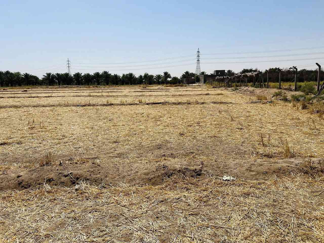 سلام عليكم ارض زراعيه للبيع 
عقد 117 المساحه 4 دونم 
العنوان طريق كربله - نجف عمود 301 يا حسين 
كافت الخدمات ‭0783 885 1910‬
