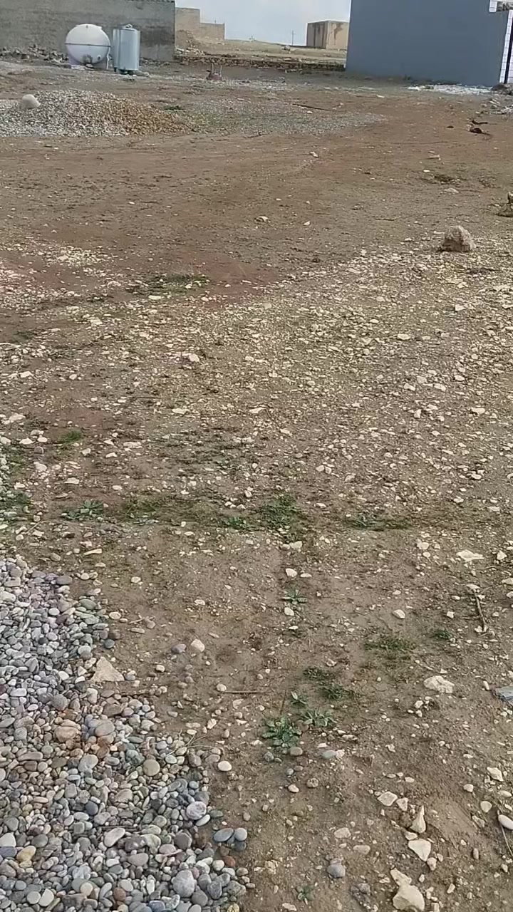 مكتب الحمزة للعقار
للبيع قطعة ارض سكنية مساحه 200م تجاه شروق خدمات ماء كهرباء حي العسكري السعر 25 مليون للاستفسار ع رقم المكتب أو ع واتساب 
***********
***********
