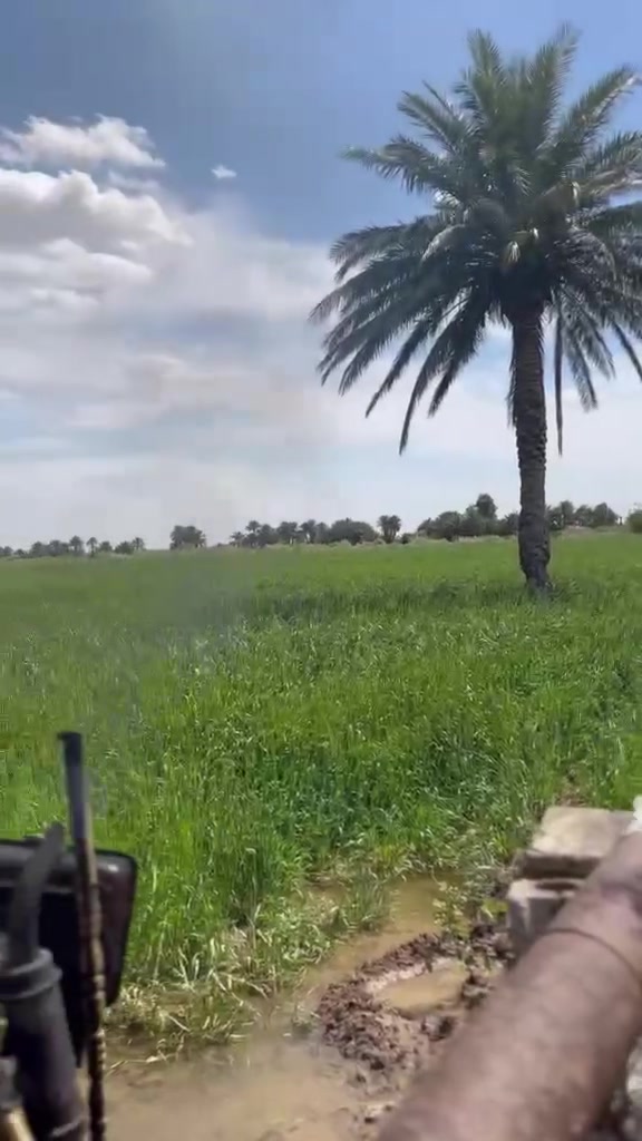 السلام عليكم 
ارض زراعيه سند ٢٥ 
مساحه الارض ١١ونص دونم 
بيها حصه ماء 
وثنين نحالات 
ونخل نوع جيد جدآ الارض تصلح لزراعه 
وتصلح لسكن مجاور شركه الابقار  
سعر الدونم 8 مليون بدون عمله 
للاستفسار اكثر اتصل على الرقم التالي 
***********
