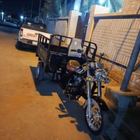 ستوتة • موديل ٢٠٢١ • أوراق كاملة