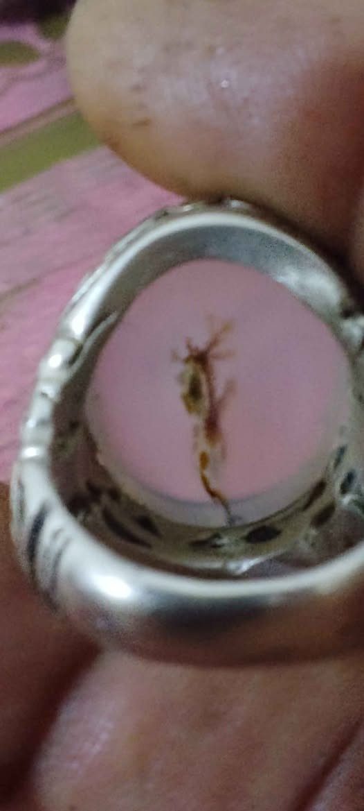 محبس فضه يماني اصلي قديم 
سعره40 البصرة, العراق


**إذا كنت صاحب هذا الإعلان وتريد حذفه لأي سبب، رجاءا أرسل رسالة إلى الدعم الفني**