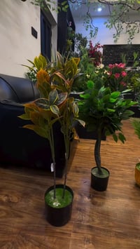 الشارقة للديكور • نباتات صناعية • البيّاع