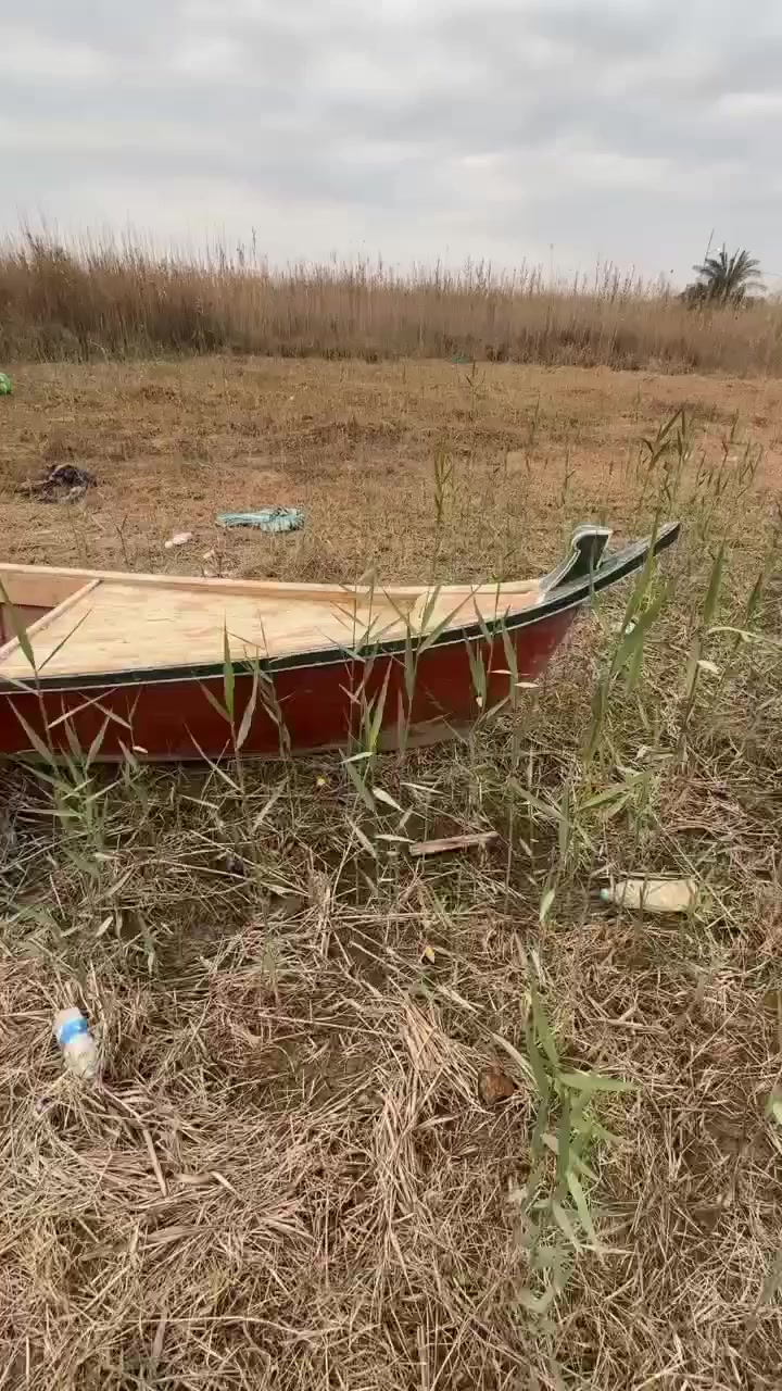 سلام عليكم بلم البيع  اريد افصل غزل محتاج سعره 560وبي مجال العام فصلته نزلت بي 3 مرات فقط


**إذا كنت صاحب هذا الإعلان وتريد حذفه لأي سبب، رجاءا أرسل رسالة إلى الدعم الفني**