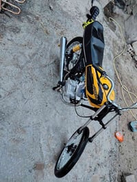 انتنس • موديل 16 • أوراق اصلية