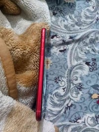 آيفون XR • ١٢٨ • مكفول