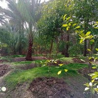 #نص دونم للبيع المكان بغداد الراشدية قرب البحيره   #الواجهة35متر.    #...