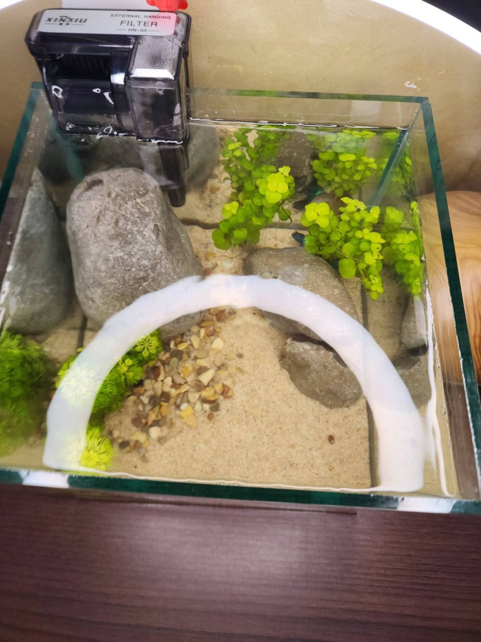 تصميم لحوض 20× 20 ×20🌿☘️🐠
للكلب والاستفسار خاص
يوجد توصيل لجميع المحافضات 🚛


**إذا كنت صاحب هذا الإعلان وتريد حذفه لأي سبب، رجاءا أرسل رسالة إلى الدعم الفني**