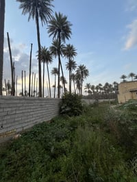 قرب البودالي • مساحة ٥٦٠م • واجهة ١٠م