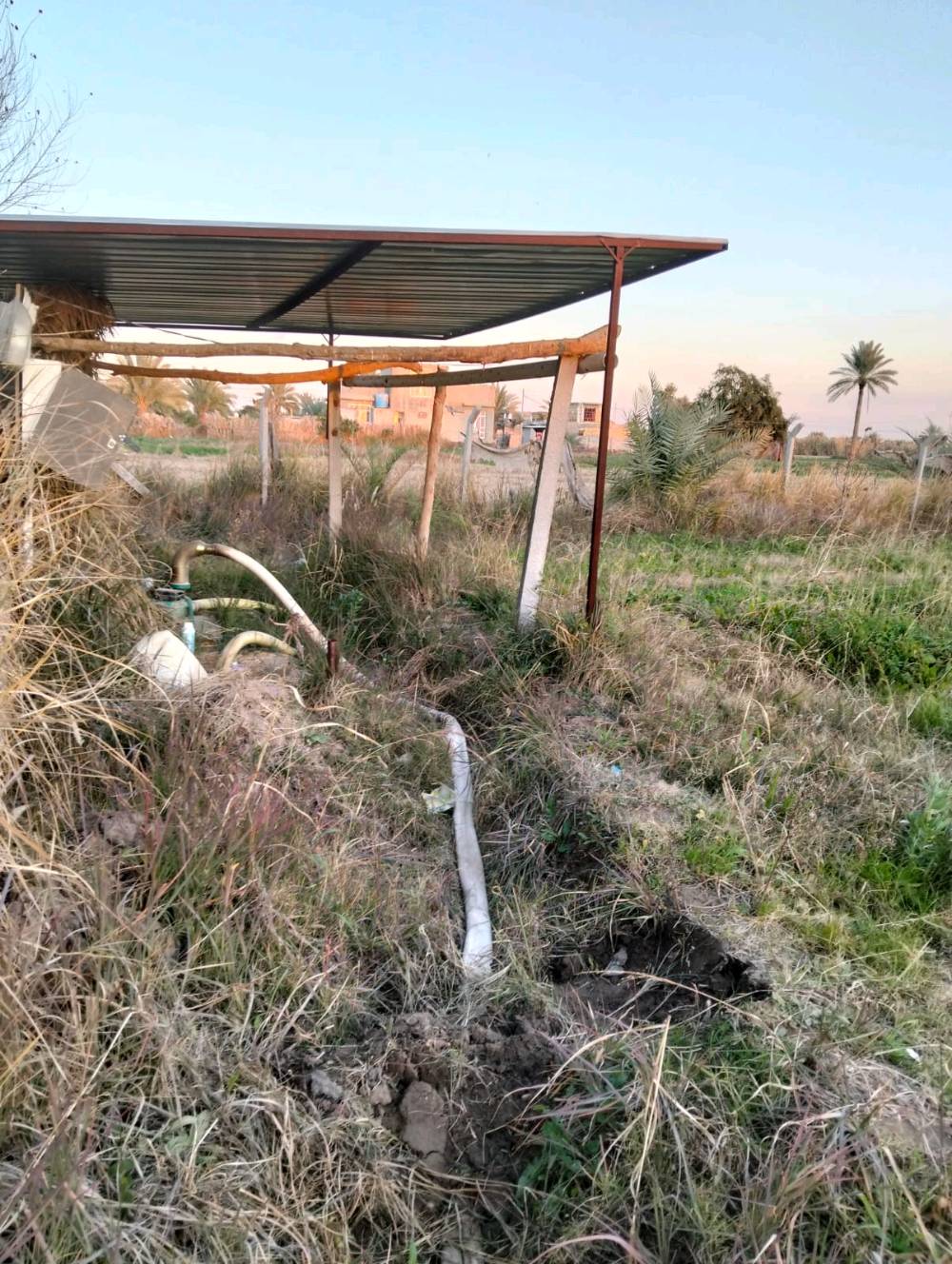 السلام عليكم آراض زراعيه المساحه 2 دونم متوفره كامل الخدمات ماء وكهراب على شارع فرعي الموقع حله  بزل حجي علي والارض مزوعه 100نحله واللعلم الارض سند 25