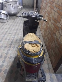 سكنس فحل • ياباني • مامفتوحة