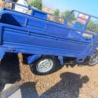 ستوته • موديل 2022 • مرقمة سنوية