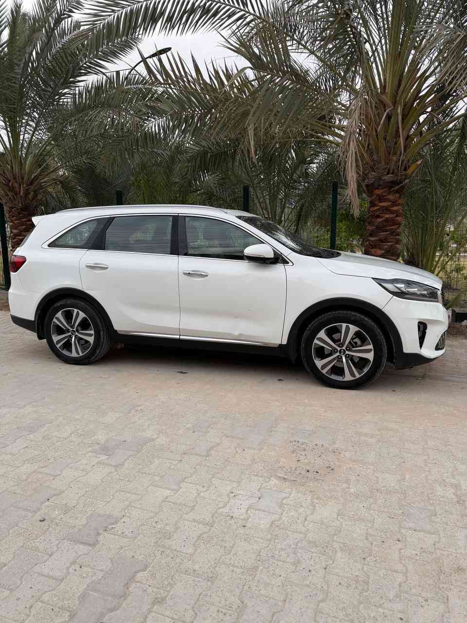 السلام عليكم سورنتو موديل 20 خليجيه 6 سلندر فول مواصفات قمارة حديد بصمه صندوق كهرباء مري شفط والباقي معروفات كفاله عامه من الصبغ والبارد والفتح اكو دحجتين موضحات بالصور فقط رقم أربيل وكاله او تحويل مكان النجف سعر 245 وبيها مجال بسيط للاتصال بالرقم  ‭ ‭0783 874 7970‬
