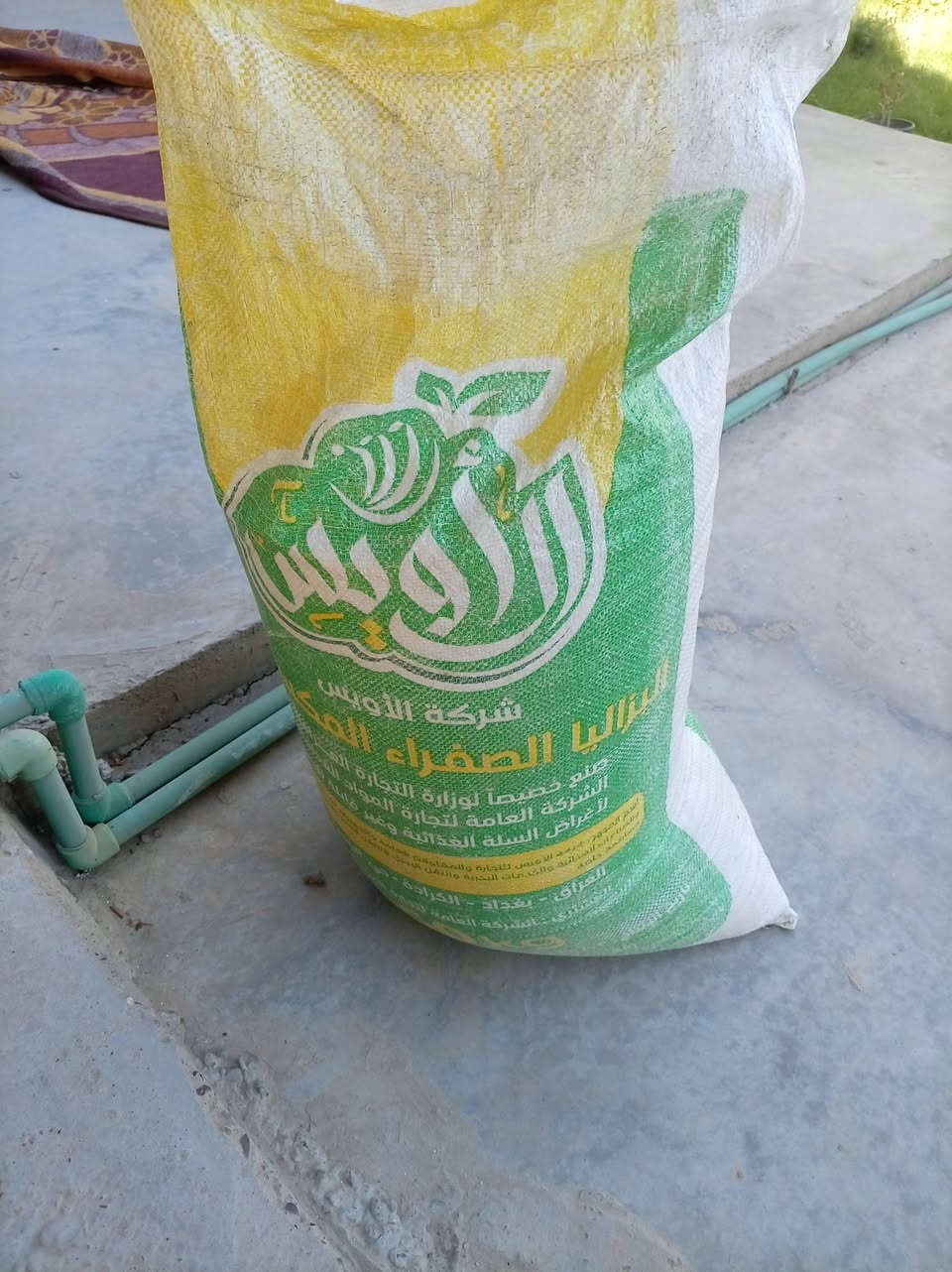 تمن حصه وعدس وحمص ولوبيه سعر ٤٠ وبيه مجال


**إذا كنت صاحب هذا الإعلان وتريد حذفه لأي سبب، رجاءا أرسل رسالة إلى الدعم الفني**