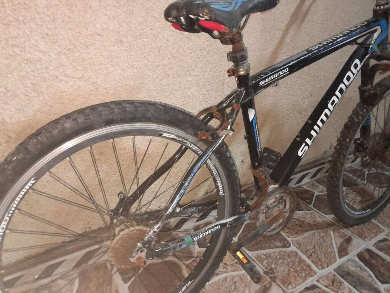 للبيع بايسكل ياباني بآلة
يحتاج فقط زنجيل وبريك 
السعر ٦٠ بي مجال 
عنوان البصرة قبلة حي الجامعة الاستفسار مراسلة او الاتصال ع الرقم ***********
