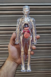 ناصريه مركز • كسر واضح