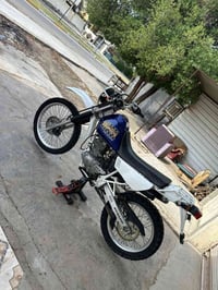 قفاز دجبل • بدون أوراق • مكفوله
