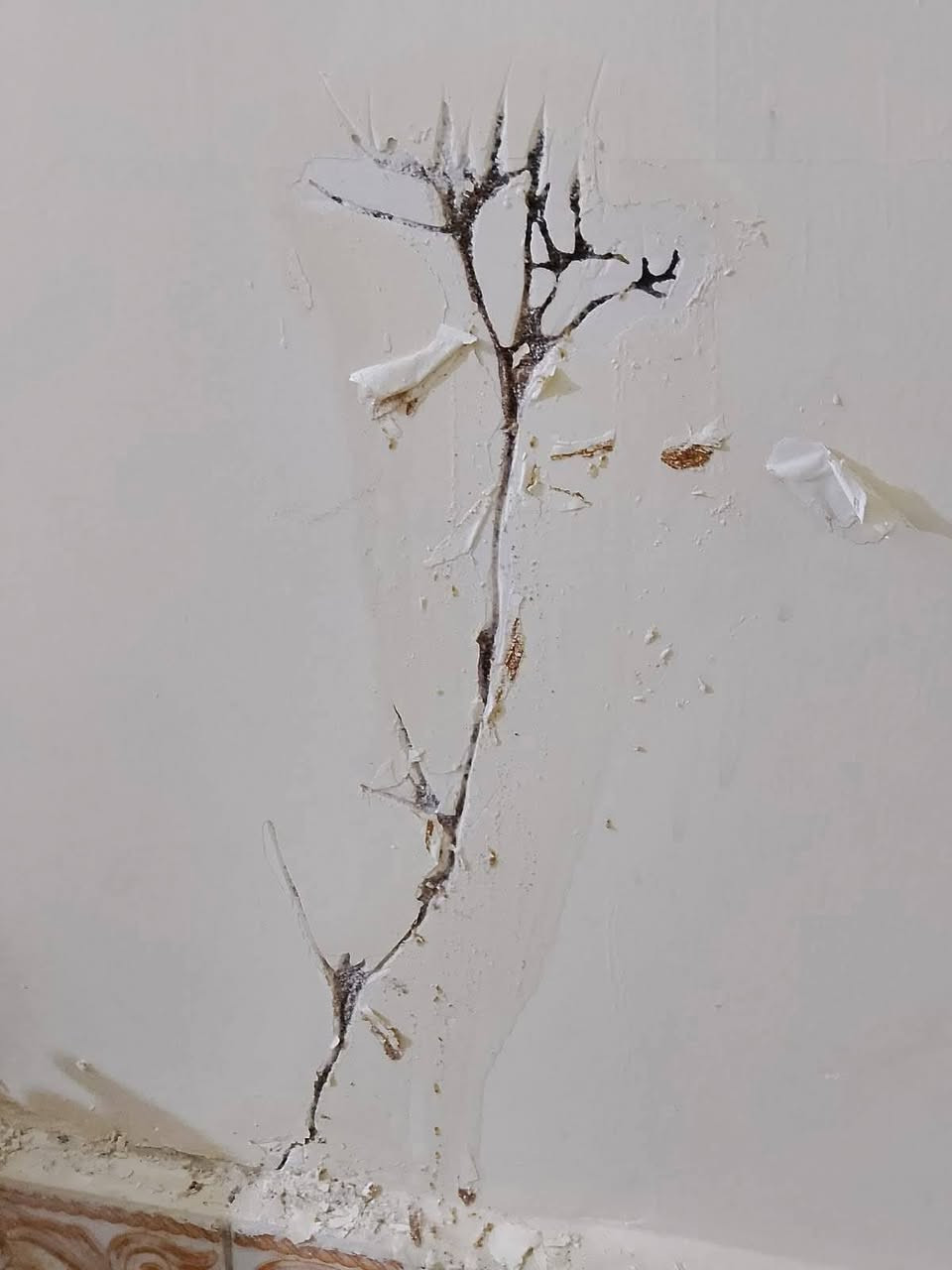 يوفر لكم ( مكتب الوسام المختص بكشف ومكافحه حشرة الارضه والقوارض بجهاز السونار) كوادر متخصصه لمكافحة حشرة الارضة .
💎كشف دقيق وموقعي. 
💎استخدام افضل انواع المبيدات المرخصة من قبل وزارةالصحة بدون رائحة وغير سامة  حيث ليس هناك الحاجة لاخلاء الموقع من سكانه .
💎ضمان خمس سنوات 
نقدم لكم الحل الأمثل لمشكلة الأرضة والنمل الأبيض، حيث نوفر جميع مبيدات فايروسيه الفعالة ونسعى لخدمة العملاء على أكمل وجه، وتقدم الشركة خدماتها في أسرع وقت وتمتلك حلول فعالة وعصرية وغير تقليدية، يتم رش المبيدات فايروسيه حسب مساحة المكان، كما يوجد خدمات خاصة للمنشآت الهامة مثل المستشفيات والبنوك والمساجد ودوائر الدوله الشركات الاهليه
💎لاتستخدم الكلوردين او النفط للمعالجة
لدينا مواد صديقة للبيئة تستخدم لمكافحة الارضة وليس فيها ضرر على الصحة العامة
تعمل كوادرنا في جميع محافظات العراق
وعلى مدار 24 
***********
***********
او مراسلة الصفحة

 مكتب الوسام  ومكافحة حشرة الارضة والقوارض بجهاز السونار
