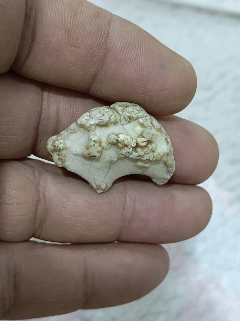 عطف بري ملاكط قديم مصور رباني يوجدتوصيل


**إذا كنت صاحب هذا الإعلان وتريد حذفه لأي سبب، رجاءا أرسل رسالة إلى الدعم الفني**