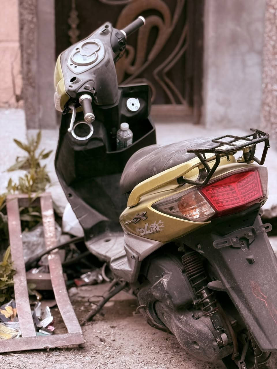 سكنس فحل 2009
نضيفه كلش 
مكينه مكفوله 
الدراجه كلش حلوه 
سعر 650وبيه مجال انشالله 
مكاني العامريه 
***********
