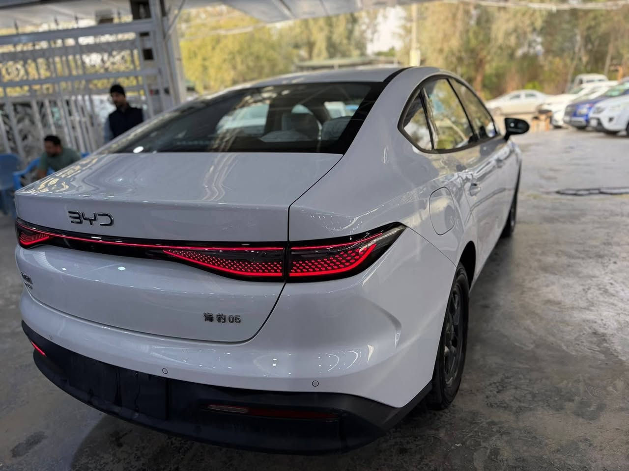 السلام عليكم سيل 5 مديل 25 رقم نجف بأسمي سنوية لل31 
مراوس بألنترا بيها قطعة او قطعتين مديل 13 وفوك 
السعر 125 ورقة 
رقمي *********** بي واتساب
