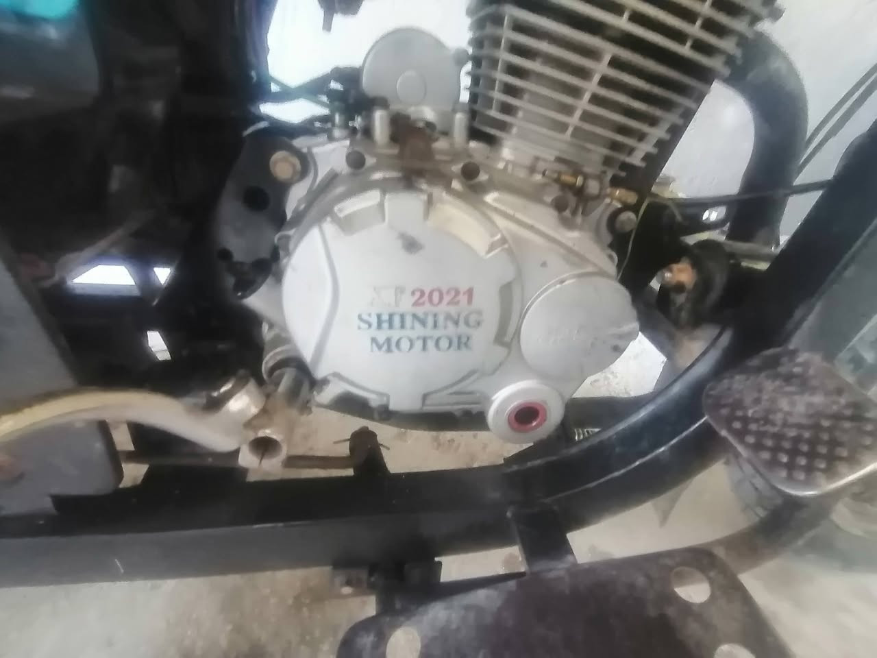 سلام عليكم شباب ستوته فحل مديل ٢١ أوراق اصوليه كبل احولك بسمك من لوكيل سعر ١٨٠٠ بيها مجال خاص مفتوح


**إذا كنت صاحب هذا الإعلان وتريد حذفه لأي سبب، رجاءا أرسل رسالة إلى الدعم الفني**